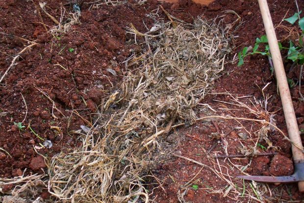 photo: Άντυ Παξινός