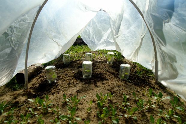 Photo: alanbuckingham@Flickr