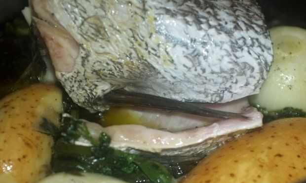 photo: Νίκος Μορόπουλος