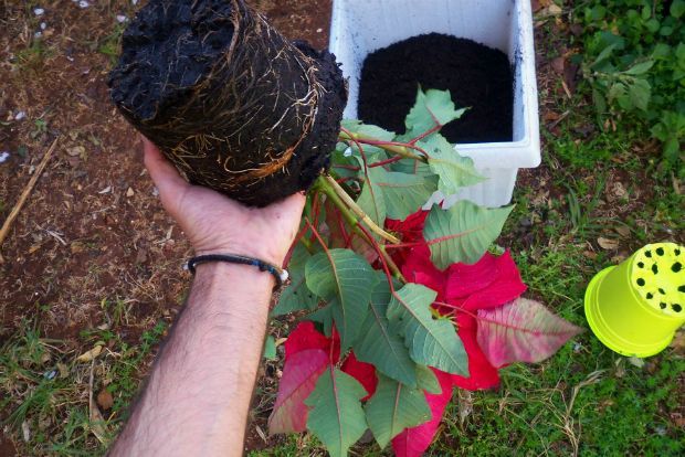 photo: Άντυ Παξινός