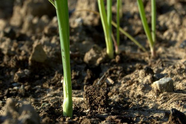 Photo: flat_bob@Flickr