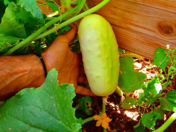 photo: Άντυ Παξινός