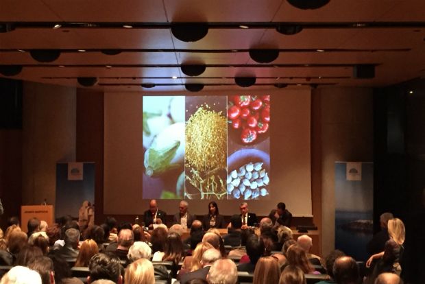 «Κουλούρες» οι αμπελιές της Σαντορίνης / photo: travel-to-santorini.com