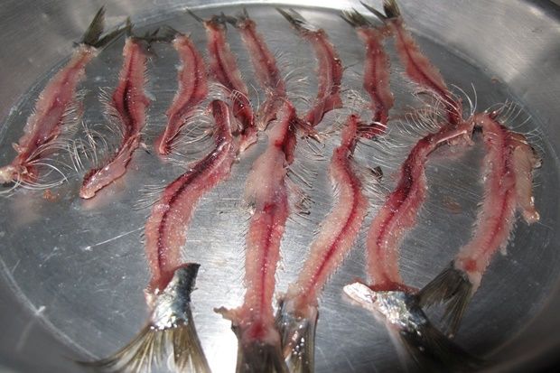 [photo: Νίκος Μορόπουλος]