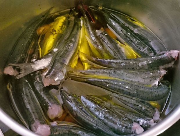 photo: Νίκος Μορόπουλος