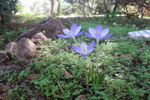 φωτο: Βάινα Μιχαηλίδη