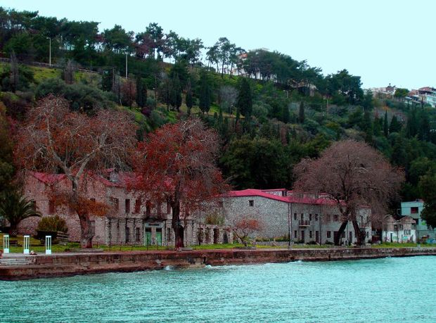 Το λιμάνι της Πάτρας, κατά την περίοδο εξαγωγής σταφίδας, αρχές του 1900