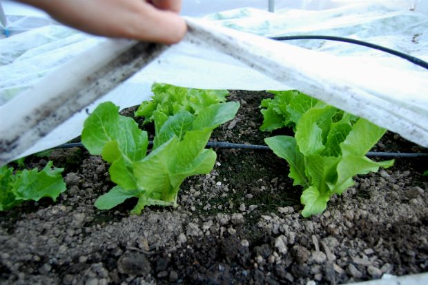 Photo: cahealthreport@Flickr