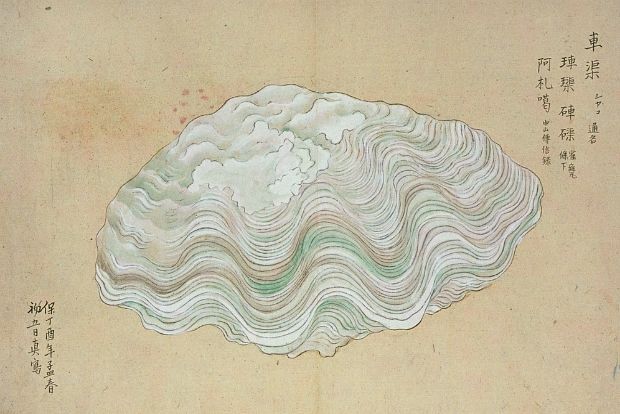 photo: Νίκος Μορόπουλος