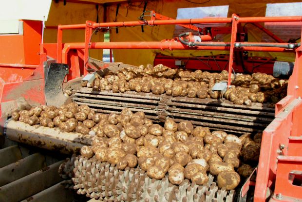 Photo: Dickie walke/Flickr