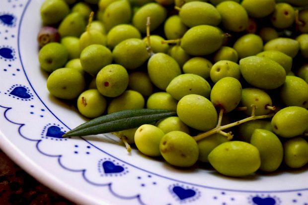 Ελαιώνες στην Ανδαλουσία, στο χωριό Baena (photoshelter.com)