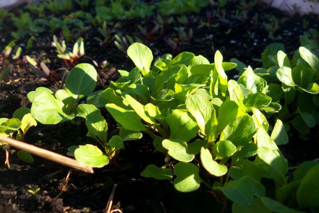 photo: Άντυ Παξινός