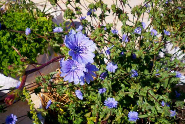 photo: Άντυ Παξινός