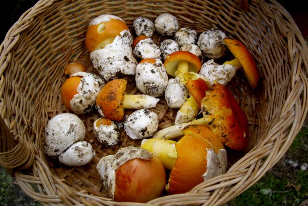 Νερατζούλες