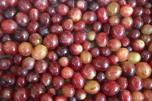 photo: Κική Τριανταφύλλη