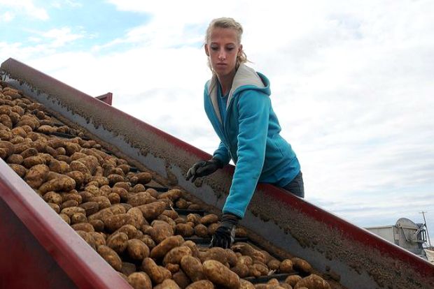 Photo: Spudman Magazin/Flickr