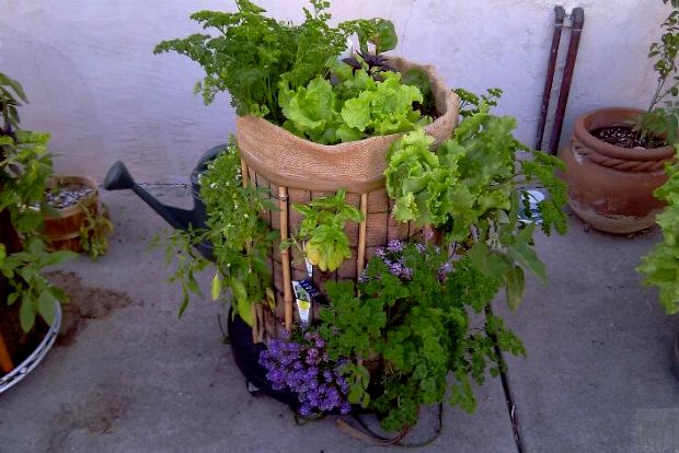 Photo: inspirationgreen.com