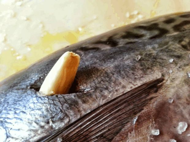 photo: Εύα Παρακεντάκη