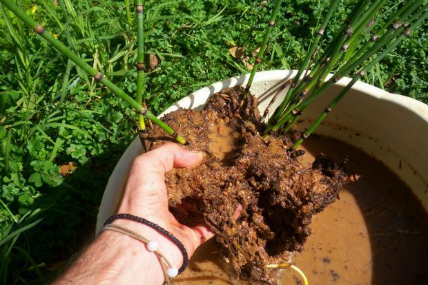 photo: Άντυ Παξινός