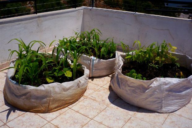 photo: Άντυ Παξινός