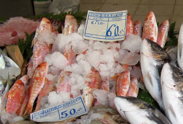 Photo: Μορόπουλος Νίκος