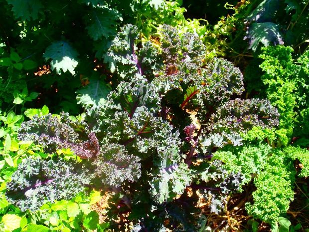 photo: Άντυ Παξινός