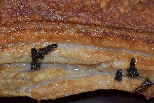 [photo: Νικος Μορόπουλος]