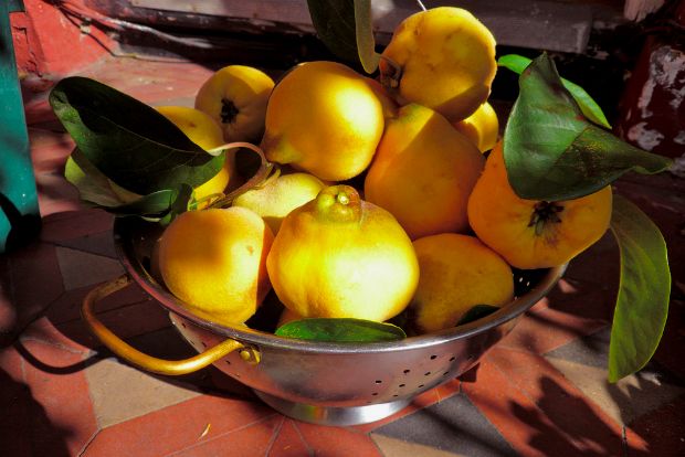 photo: marcbanksphotos@Flickr