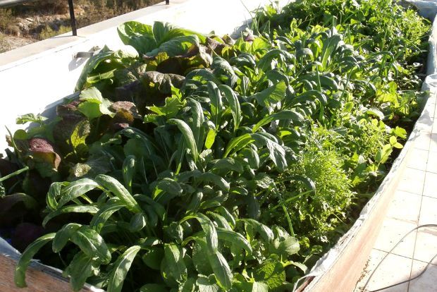 photo: Άντυ Παξινός