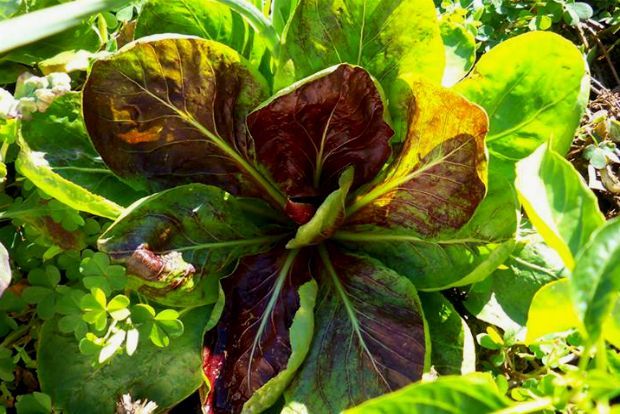 photo: Άντυ Παξινός