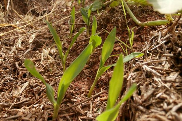 photo: Άντυ Παξινός