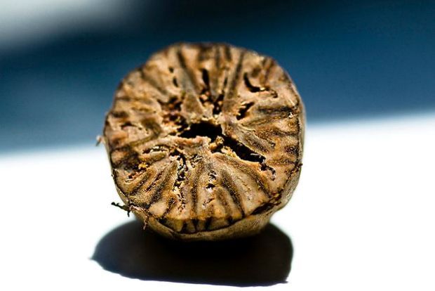 Photo:Ree Drummond/The Pioneer Woman/Flickr