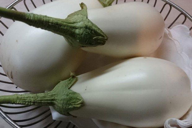 Photo: Μορόπουλος Νίκος