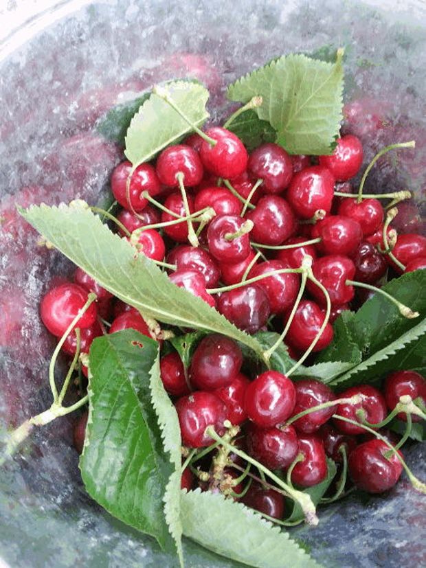 photo: Εύα Παρακεντάκη