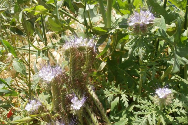 photo: Άντυ Παξινός