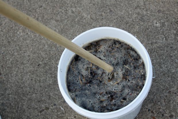 Photo: gardencomposttea.org