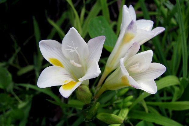 Photo: tonreg@Flickr