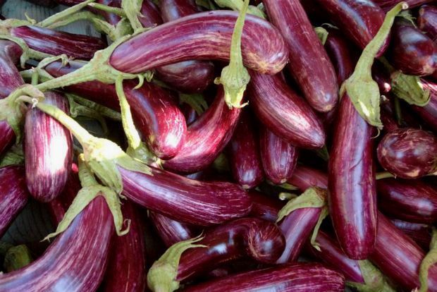 Photo: gardeningwithcharlie.com