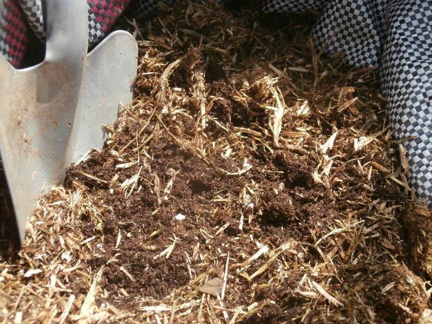 photo: Άντυ Παξινός