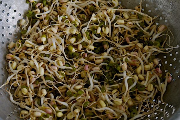 Photo: gardenista.com