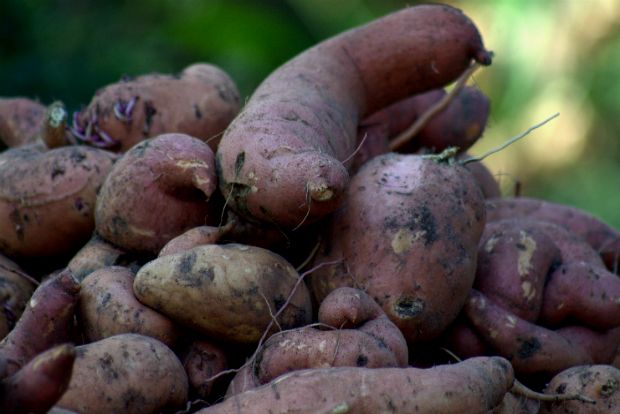 Photo: down---to---earth.blogspot.gr