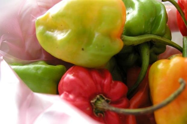 Photo: thepauperedchef.com