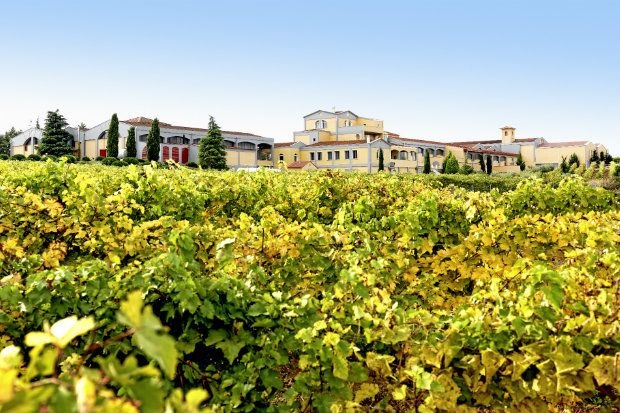 Η κάβα του Κτήματος στις εγκαταστάσεις της Αδριανής