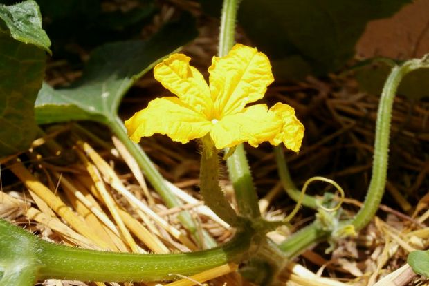 photo: Άντυ Παξινός