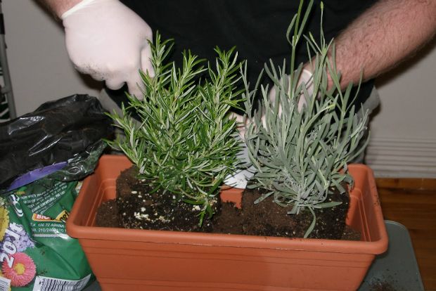 Photo: ftiaxnokipo.gr