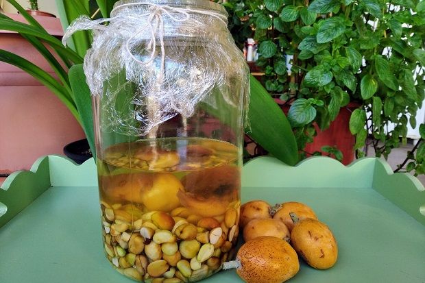 Λικέρ Μούσμουλο (photo: Κική Τριανταφύλλη)