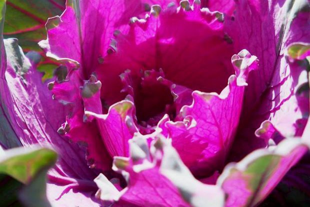 photo: Άντυ Παξινός