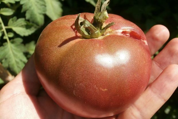 photo: Άντυ Παξινός