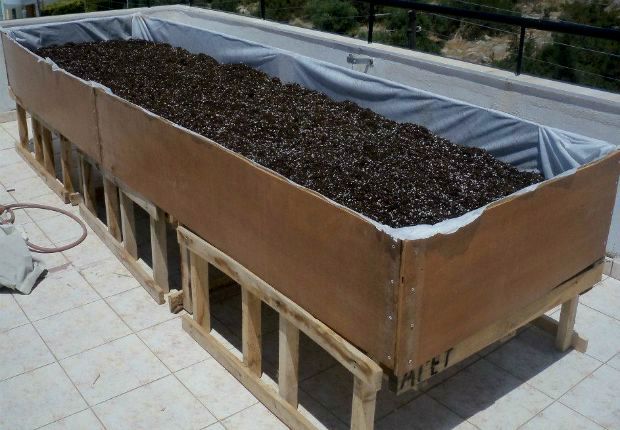 Οι φλούδες του κοκοφοίνικα συνήθως πωλούνται συμπιεσμένα, οπότε πρέπει να τις αφήσουμε στο νερό για 15 λεπτά πριν τις προσθέσουμε στο μποστάνι / photo: Άντυ Παξινός