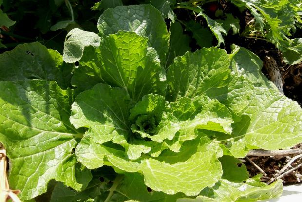 photo: Άντυ Παξινός